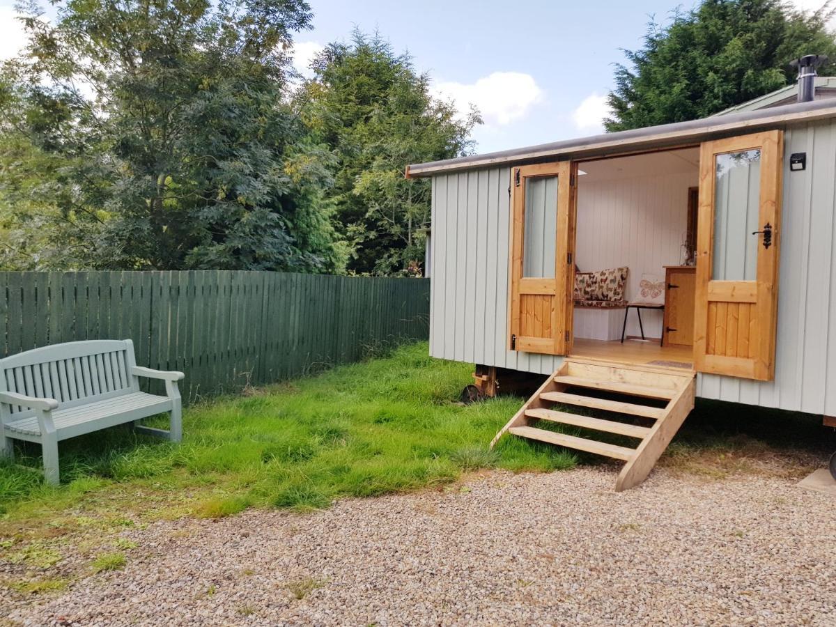 The Llama Hut Kirklevington Экстерьер фото